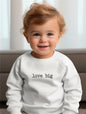 Big Love Toddler Sweatshirt - Blue Marc